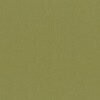 RAL 6013 Verde canna