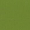 RAL 6025 Verde felce