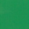 RAL 6032 Verde segnale