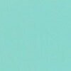 RAL 6027 Verde chiaro