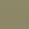 RAL 7003 Grigio muschio