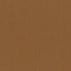 RAL 8024 Marrone beige