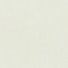 RAL 9018 Bianco papiro
