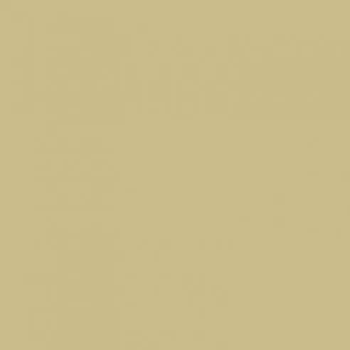 GELCOAT ISO RAL 1000 Beige verdastro