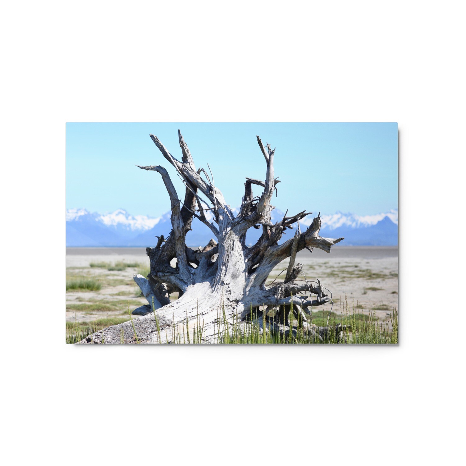 Driftwood Metal Driftwood Metal