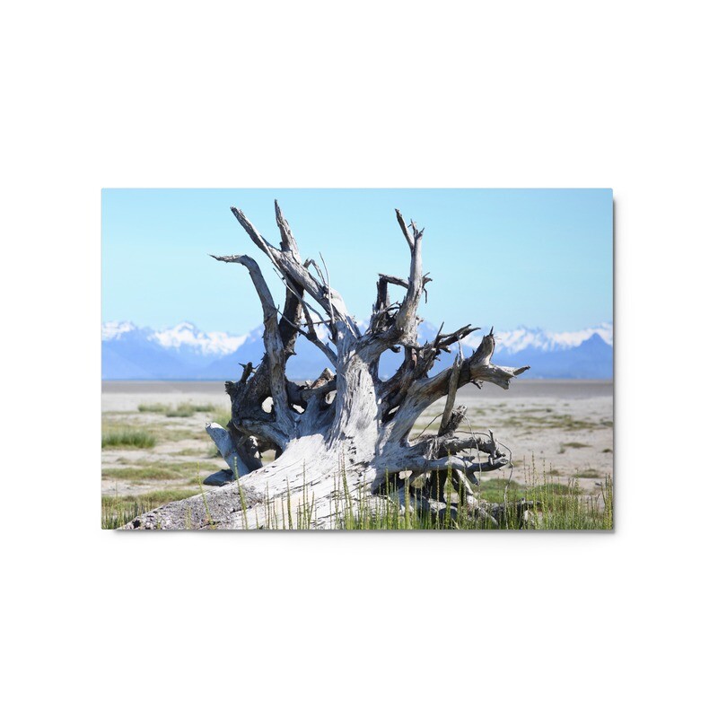 Driftwood Metal