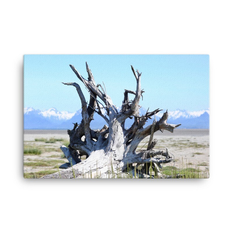 Driftwood Canvas
