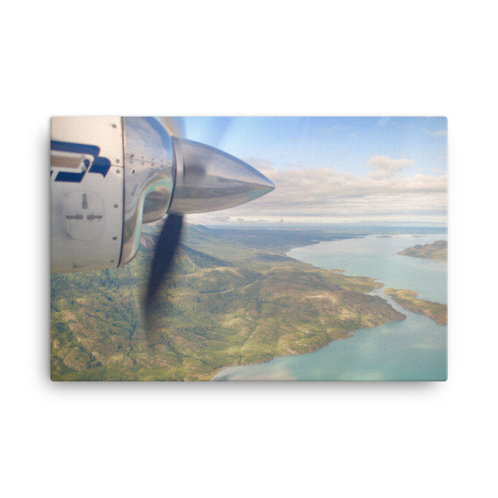 Fly Over Canvas