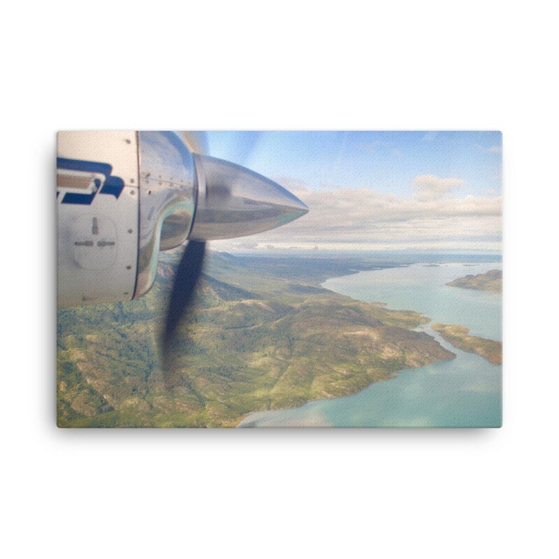 Fly Over Canvas