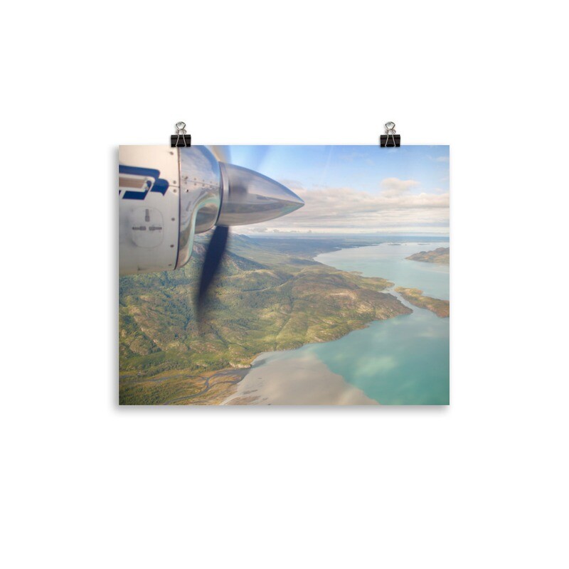 Fly Over Print