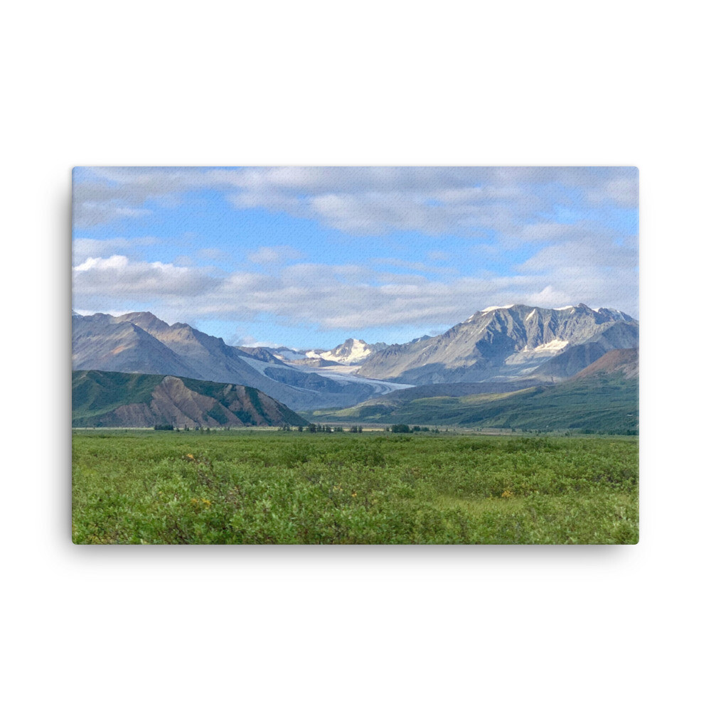 Mountain Meadow Canvas