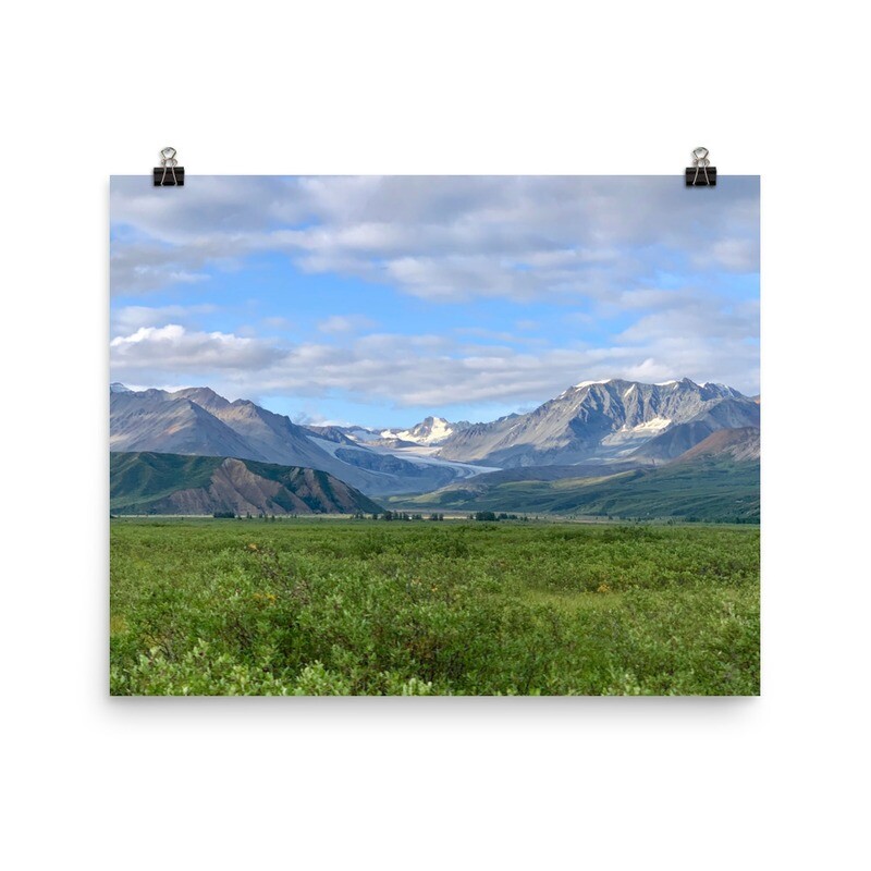 Mountain Meadow Print