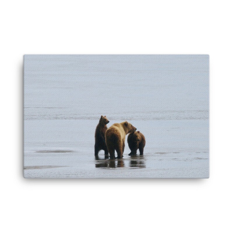 Family of Bears Canvas