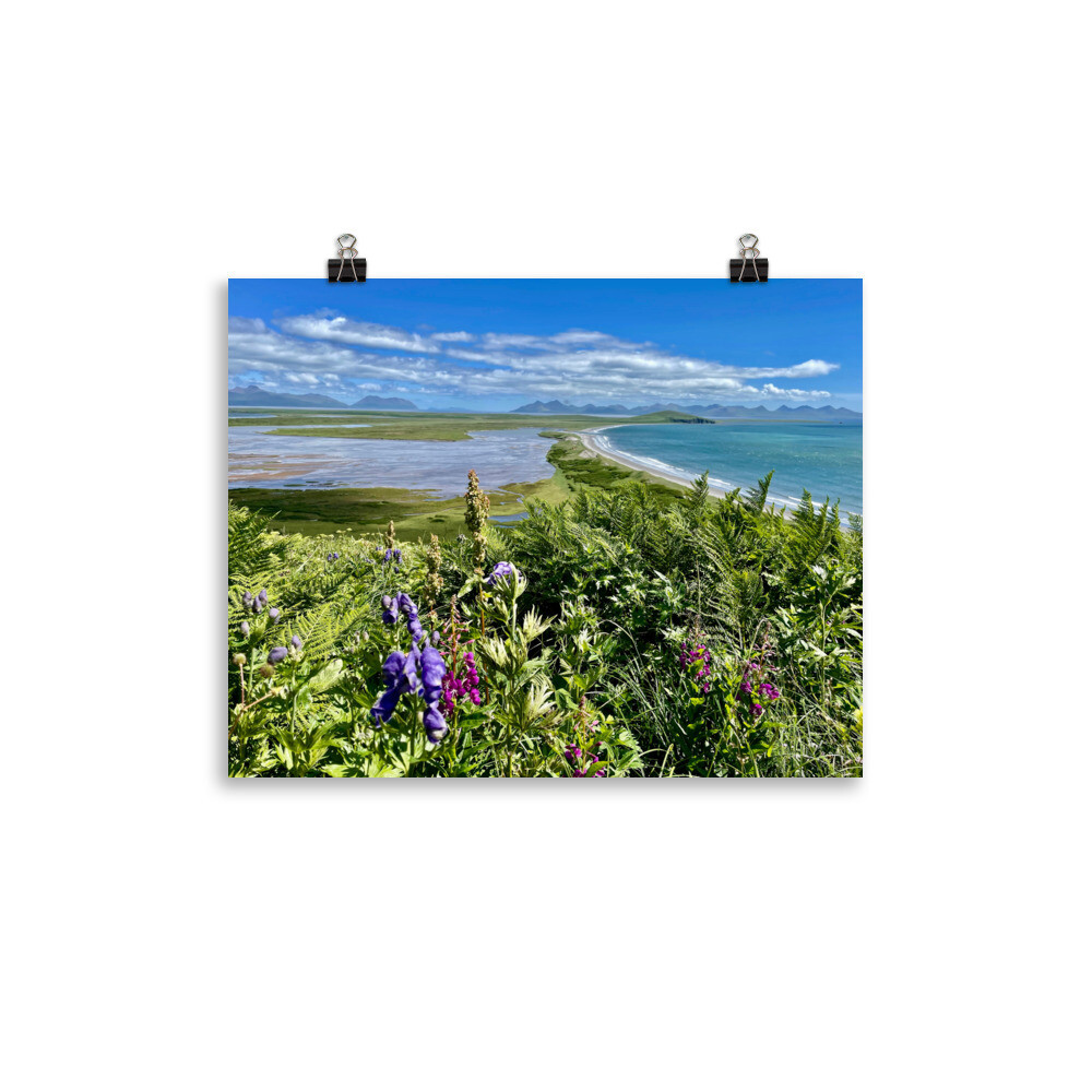 Wildflowers on the Beach Print