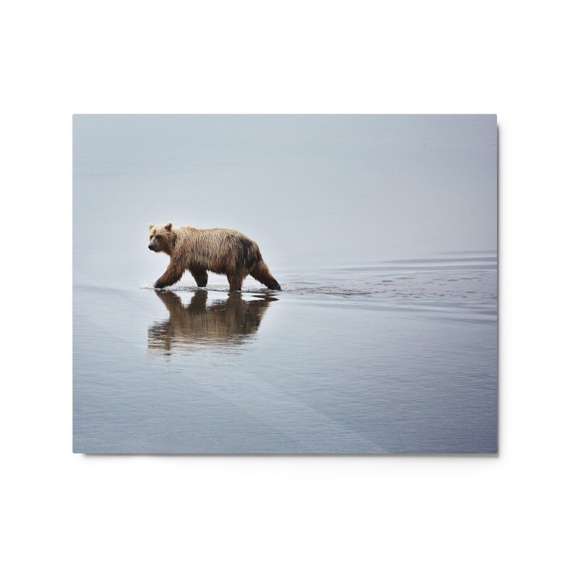 Wading Bear Metal