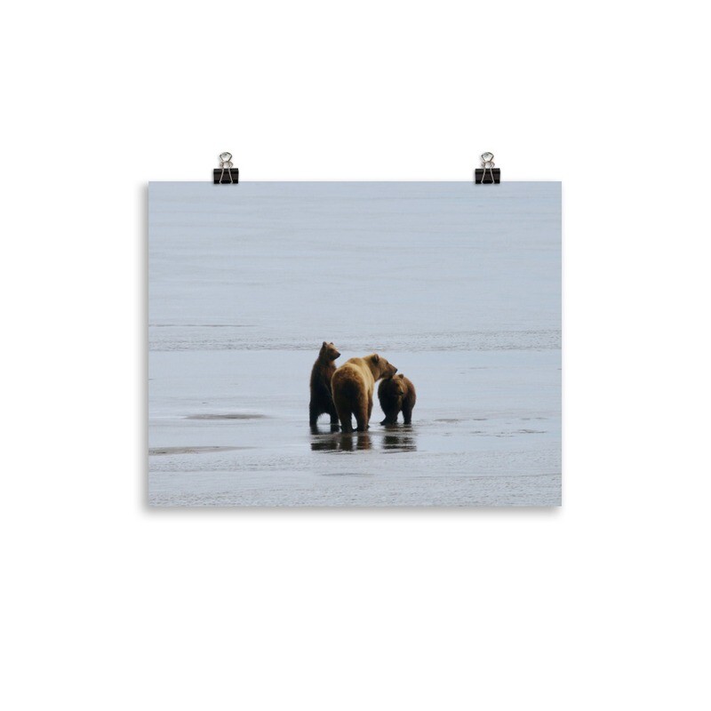 Family of Bears Print