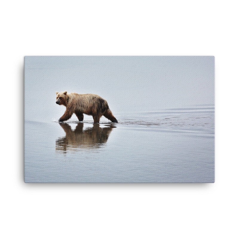 Wading Bear Canvas