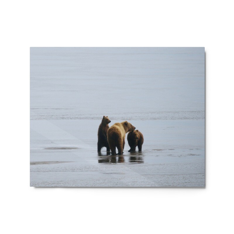 Family of Bears Metal