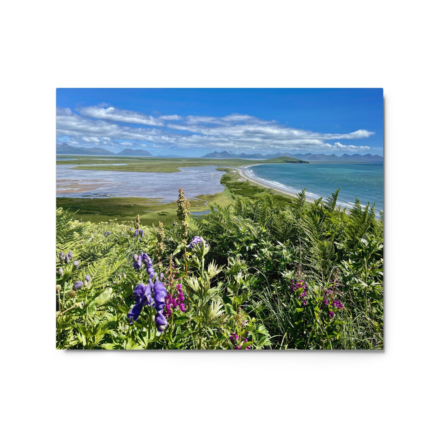 Wildflowers on the Beach Metal