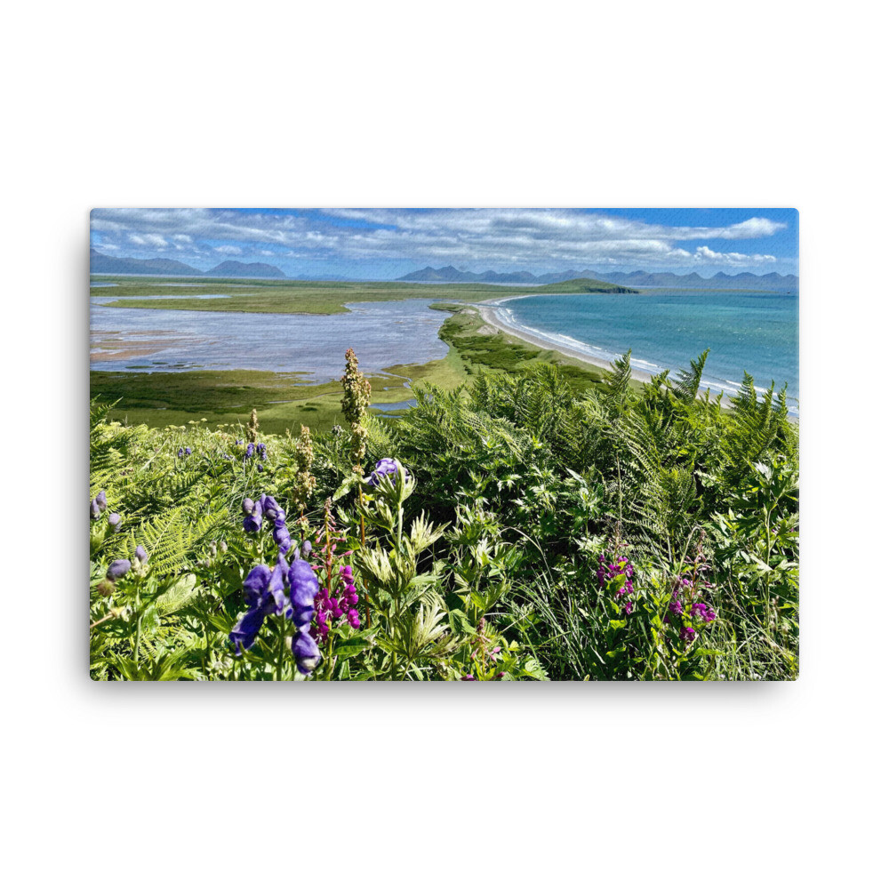 Wildflowers on the Beach Canvas