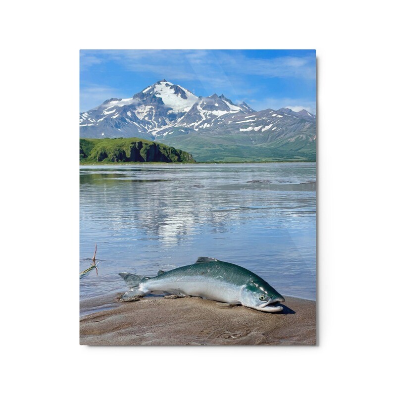 Fish on the Beach Metal