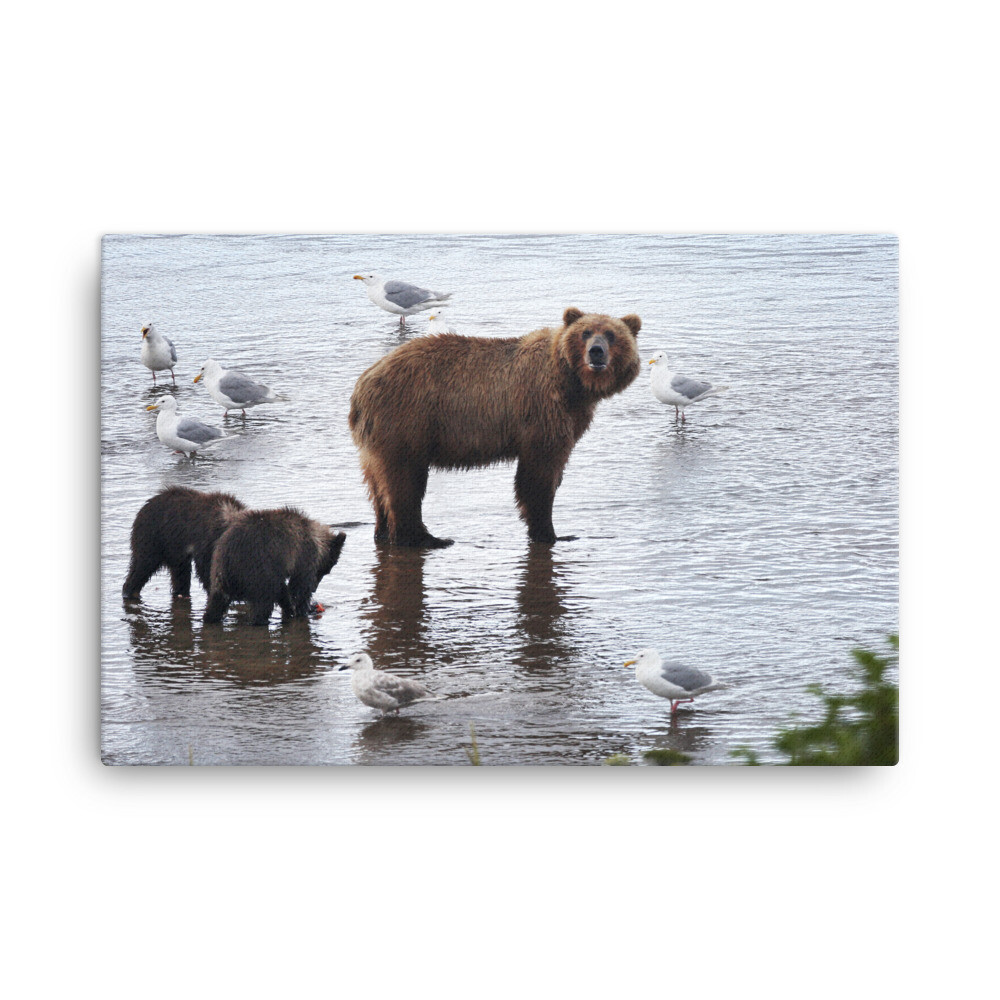 Bears and Seagulls Canvas
