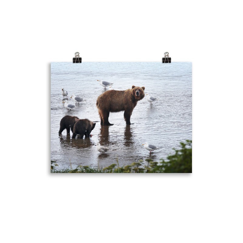 Bears and Seagulls Print