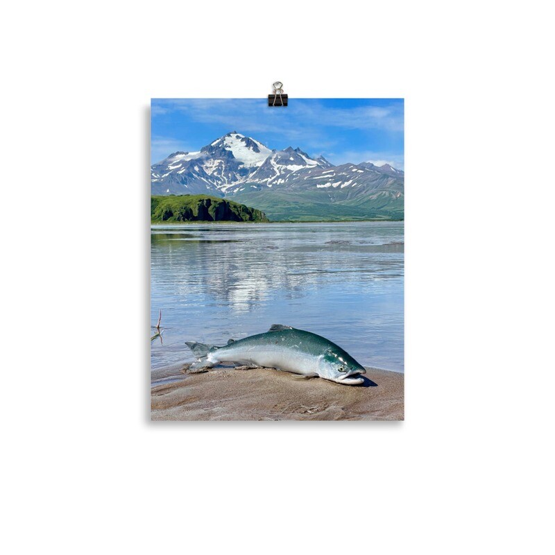 Fish on the Beach Print