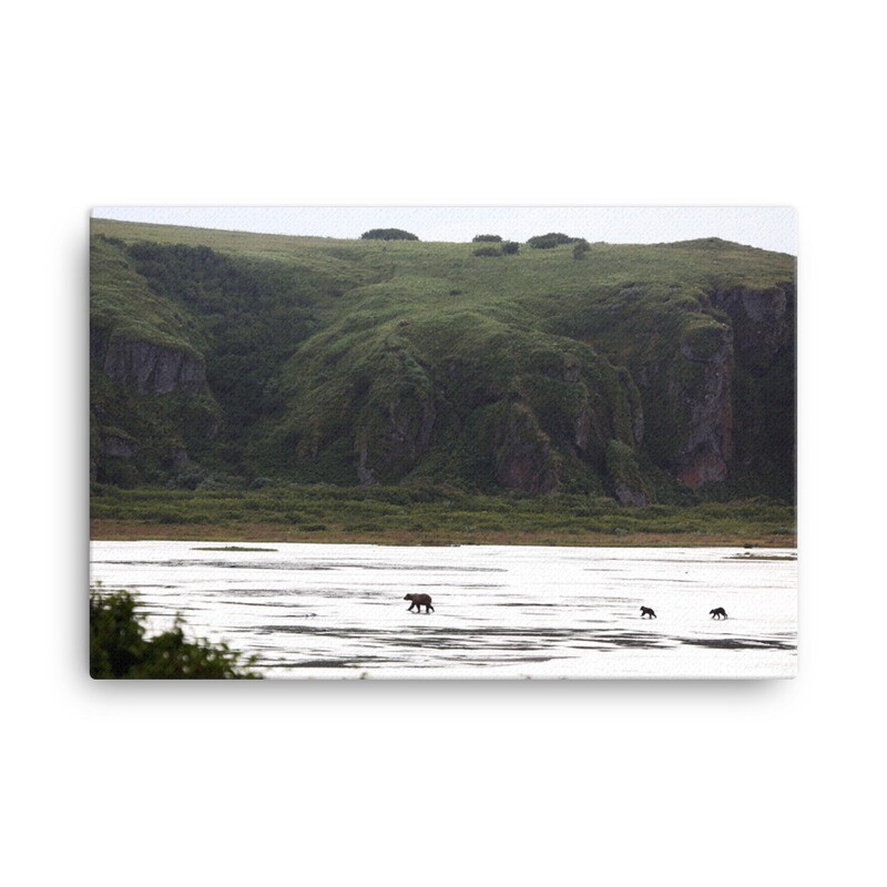 Hillside Bears Canvas