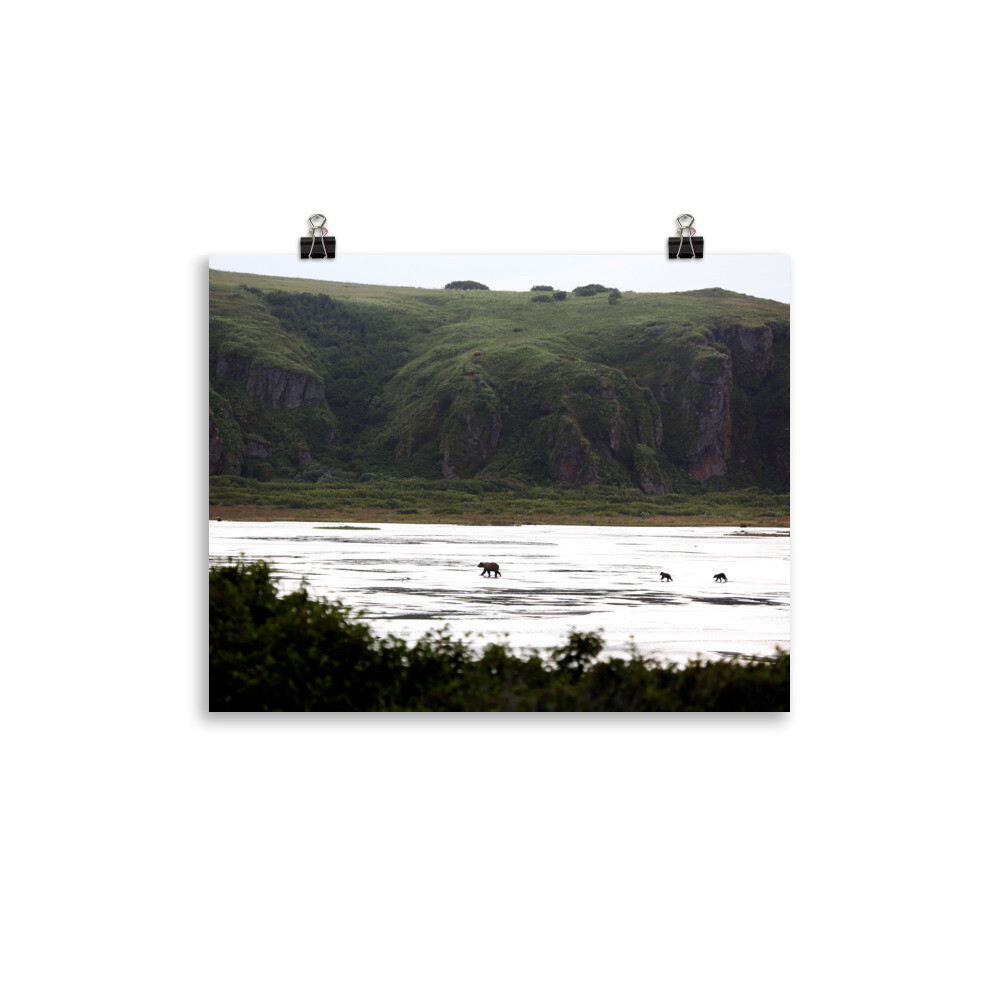 Hillside Bears Print