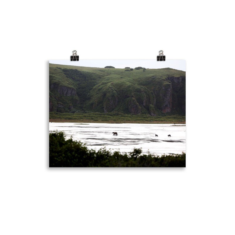 Hillside Bears Print
