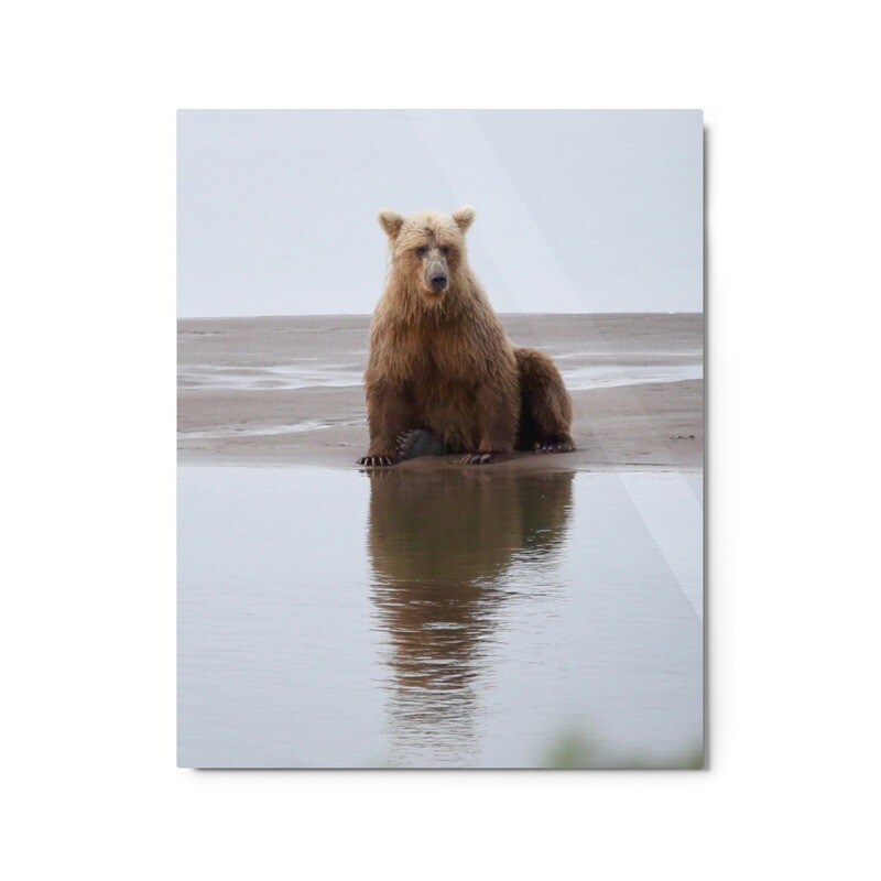 Resting Bear Metal