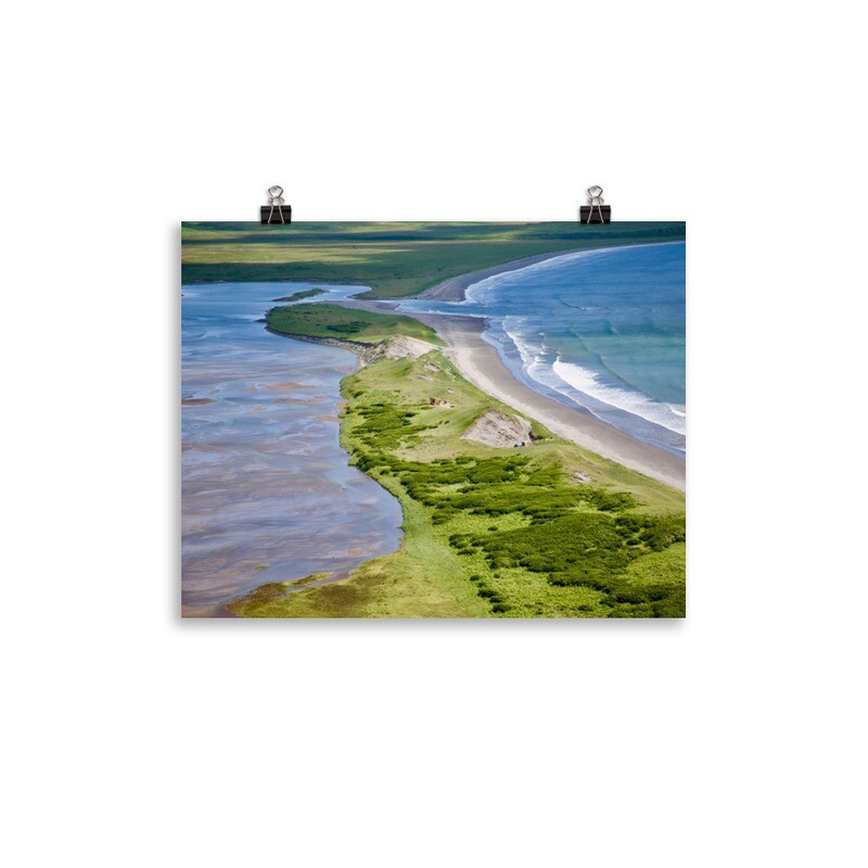 Grassy Beach Print