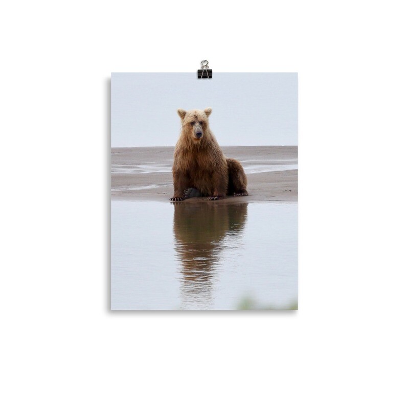 Resting Bear Print
