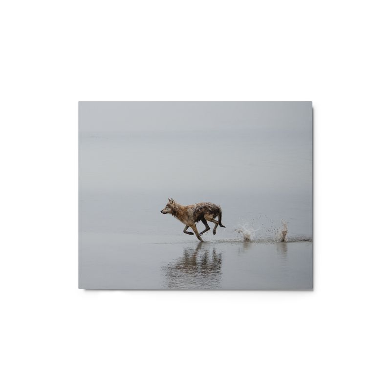 Running Wolf Metal