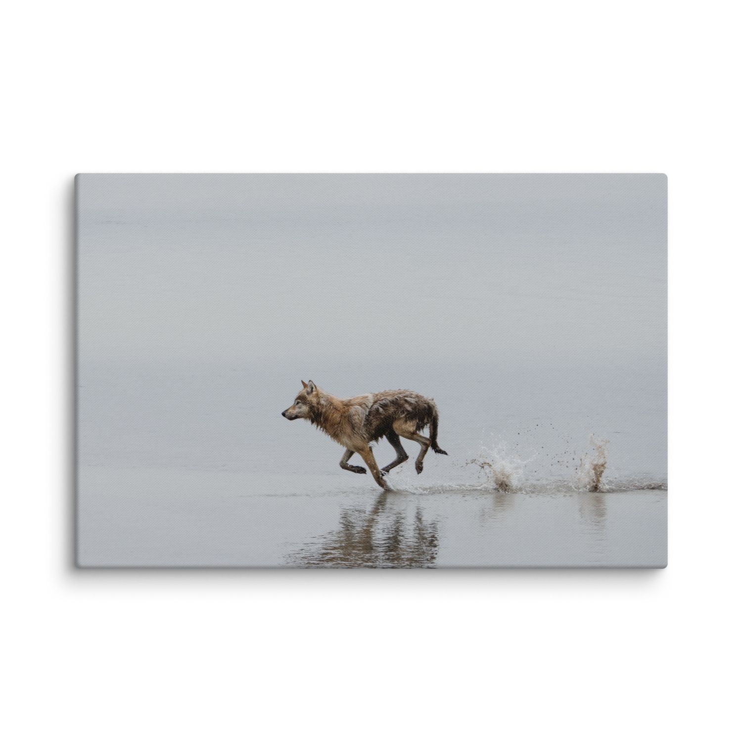 Running Wolf Canvas