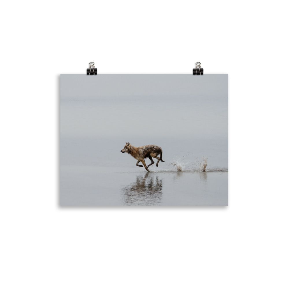 Running Wolf Print