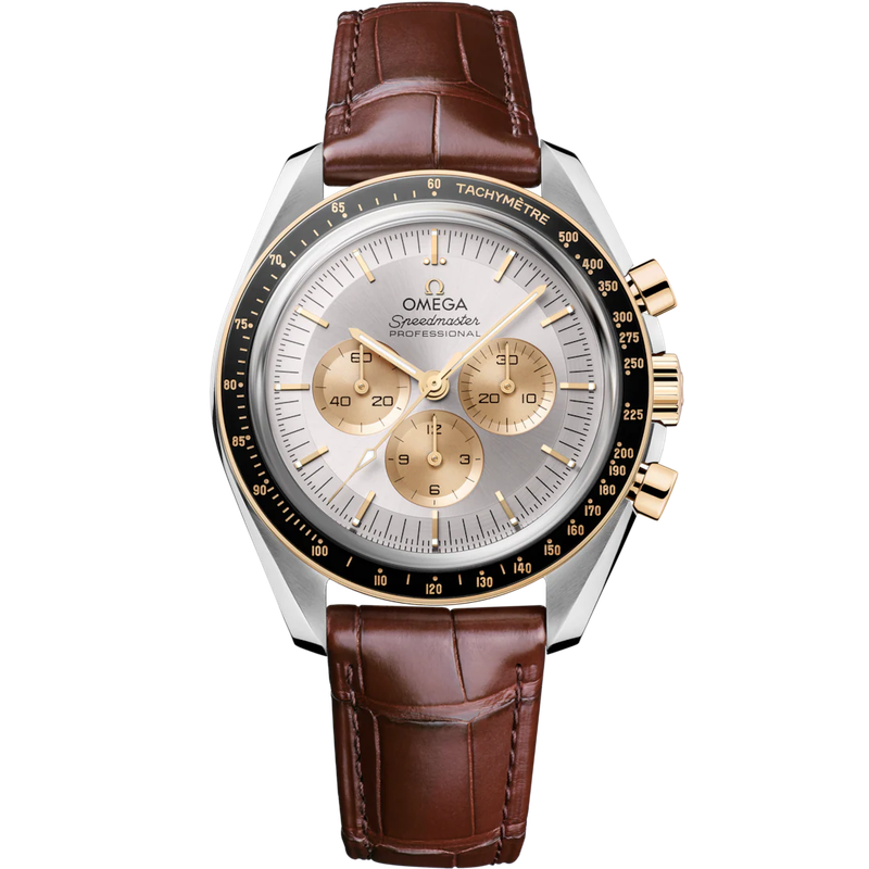 Speedmaster Moonwatch Professional 42mm with Silver Dial in Stainless Steel on Leather Strap.