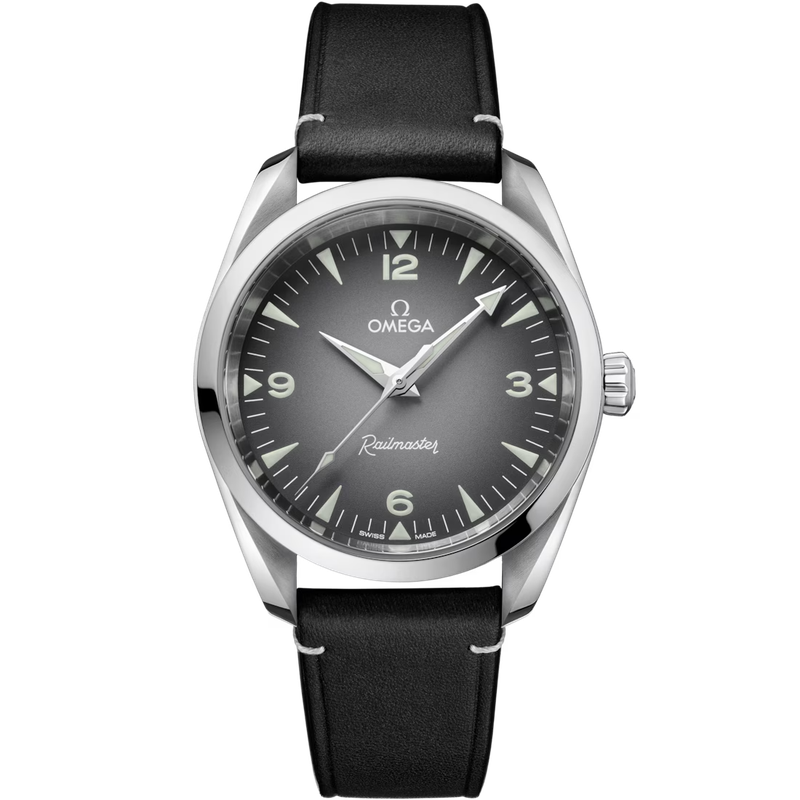 Railmaster 38mm with Grey Gradient Dial in Stainless Steel on Leather Strap