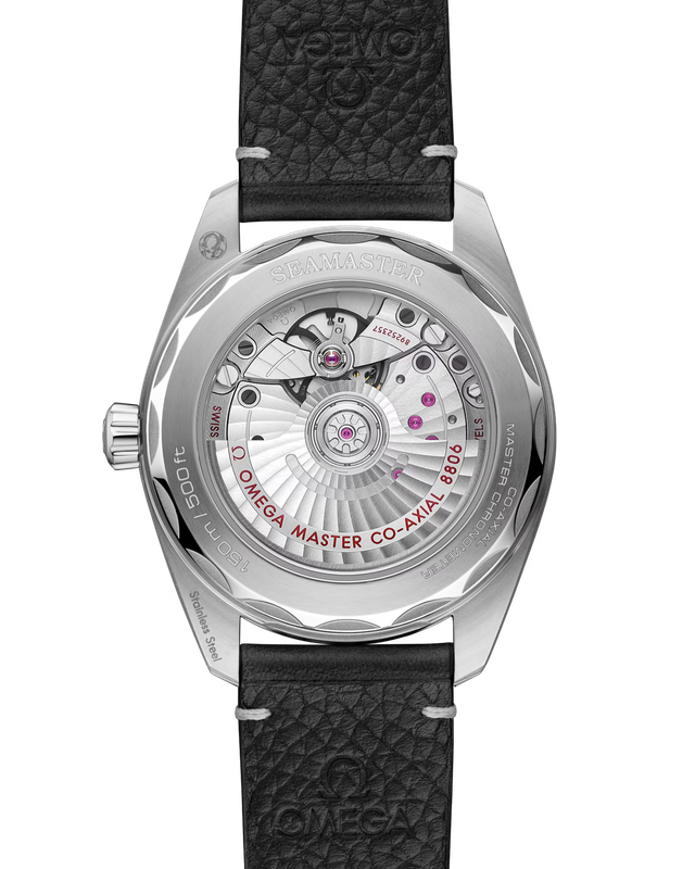 Railmaster 38mm with Grey Gradient Dial in Stainless Steel on Leather Strap