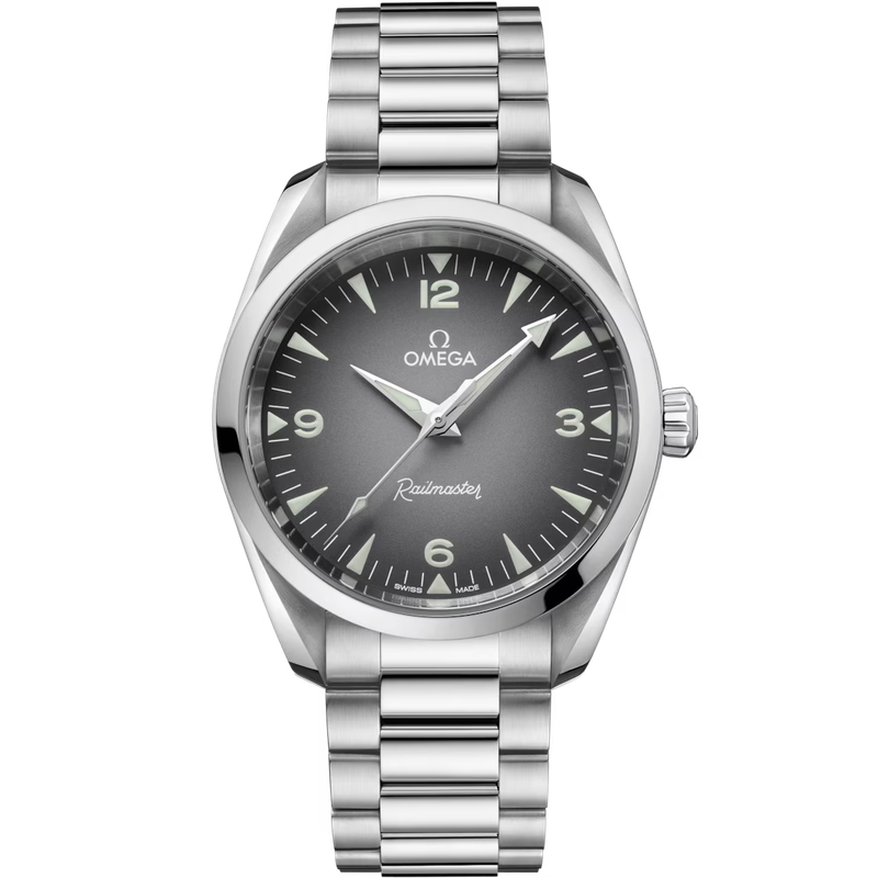 Railmaster 38mm  with Grey Gradient Dial in Stainless Steel