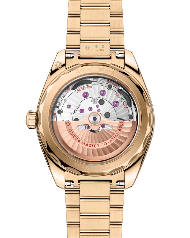 Aqua Terra 41mm with Silver Teak Dial in Yellow Gold