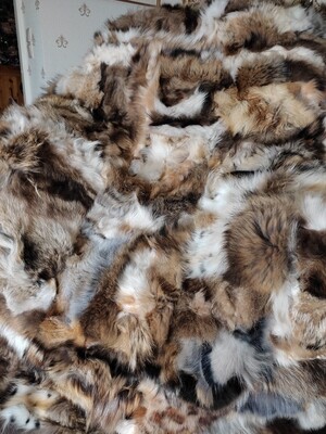 Mājai un interjeram