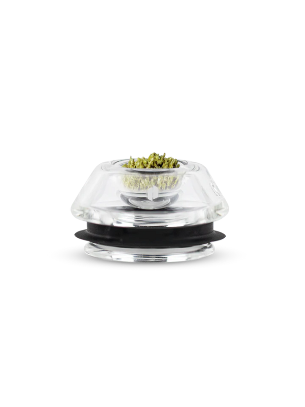 CAZUELA PARA FLORES PROXY