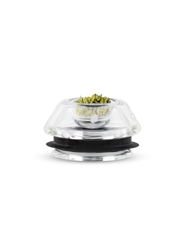 CAZUELA PARA FLORES PROXY