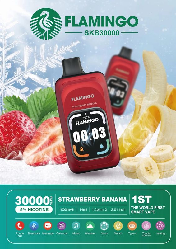 FlAMINGO 30 MIL HITS