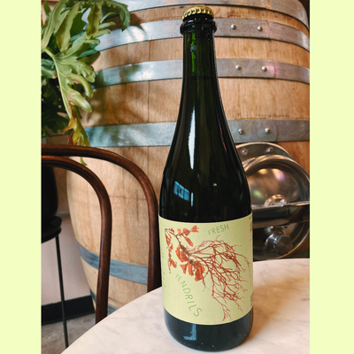 Fresh Tendrils - Riesling 2024