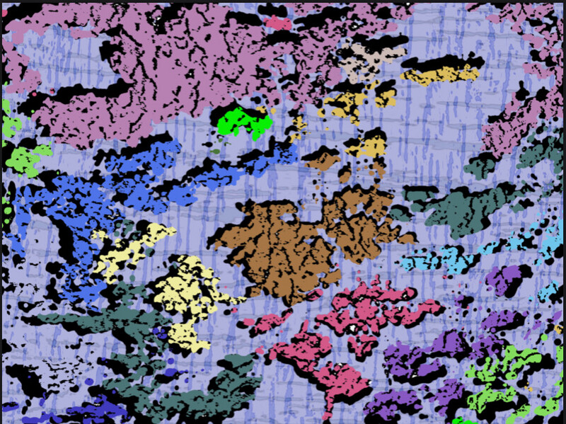 Multimedia &amp; Paintings 