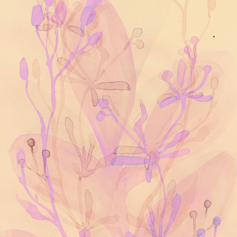 Create Your Own Cards (Botanical watercolour)