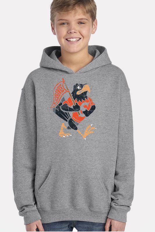 Youth Hoodie - Retro Hawk w/ Banner